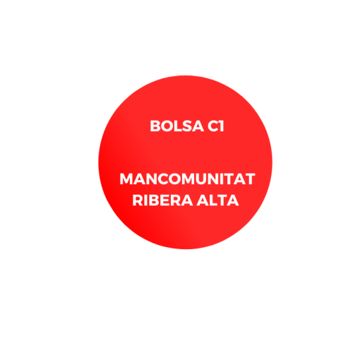 BOLSA C1 MANCOMUNITAT RIBERA ALTA ED. 2024
