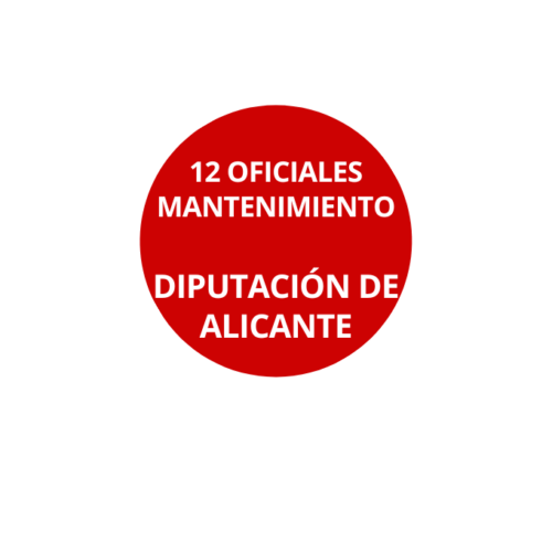 12 Oficiales Mantenimiento Diputación Alicante