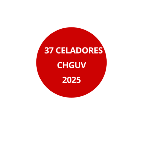 37 Celadores Consorcio Hospital General Universitario Valencia