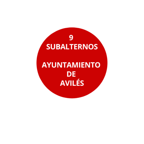 9 Subalternos Ayuntamiento de Avilés