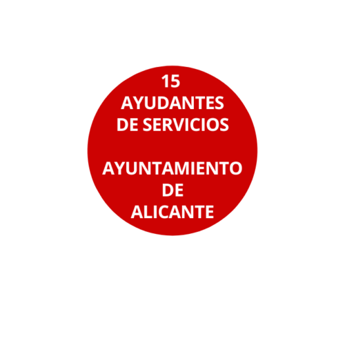 15 Ayudantes de Servicios Ayuntamiento Alicante