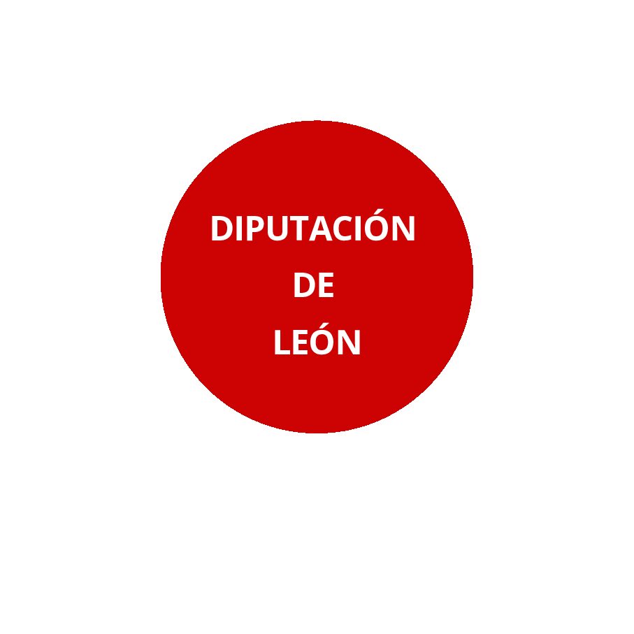 DIPUTACIÓN DE LEÓN