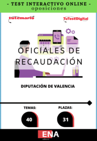 Libros de oposición Oficiales Recaudación Diputación de Valencia de 24€ a 148€